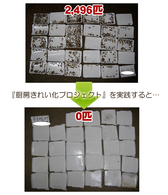 『厨房きれい化プロジェクト』を実践すると、こうなります。