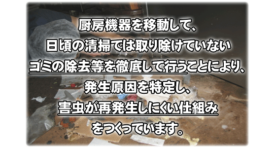 厨房機器を移動して、ゴミの除去等を徹底して行うことにより、原因を特定し、害虫が再発生しにくい仕組みをつくっています。