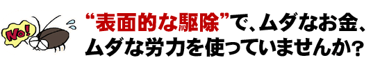 “表面的な駆除”で、ムダなお金、ムダな労力を使っていませんか?