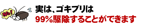 実は、ゴキブリは駆除することができます
