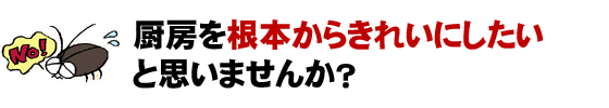 厨房を根本からきれいにしたいと思いませんか?