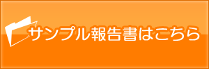 サンプル報告書